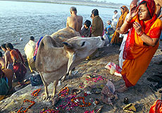 Orillas del Ganges, India