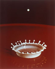 Corona de gotas de leche, 1957. Palm Press Inc